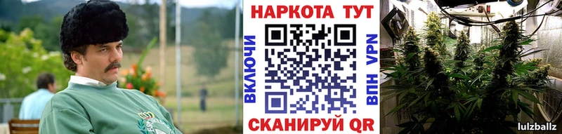 Наркотические вещества Порхов A-PVP Амфетамин МЕФ
